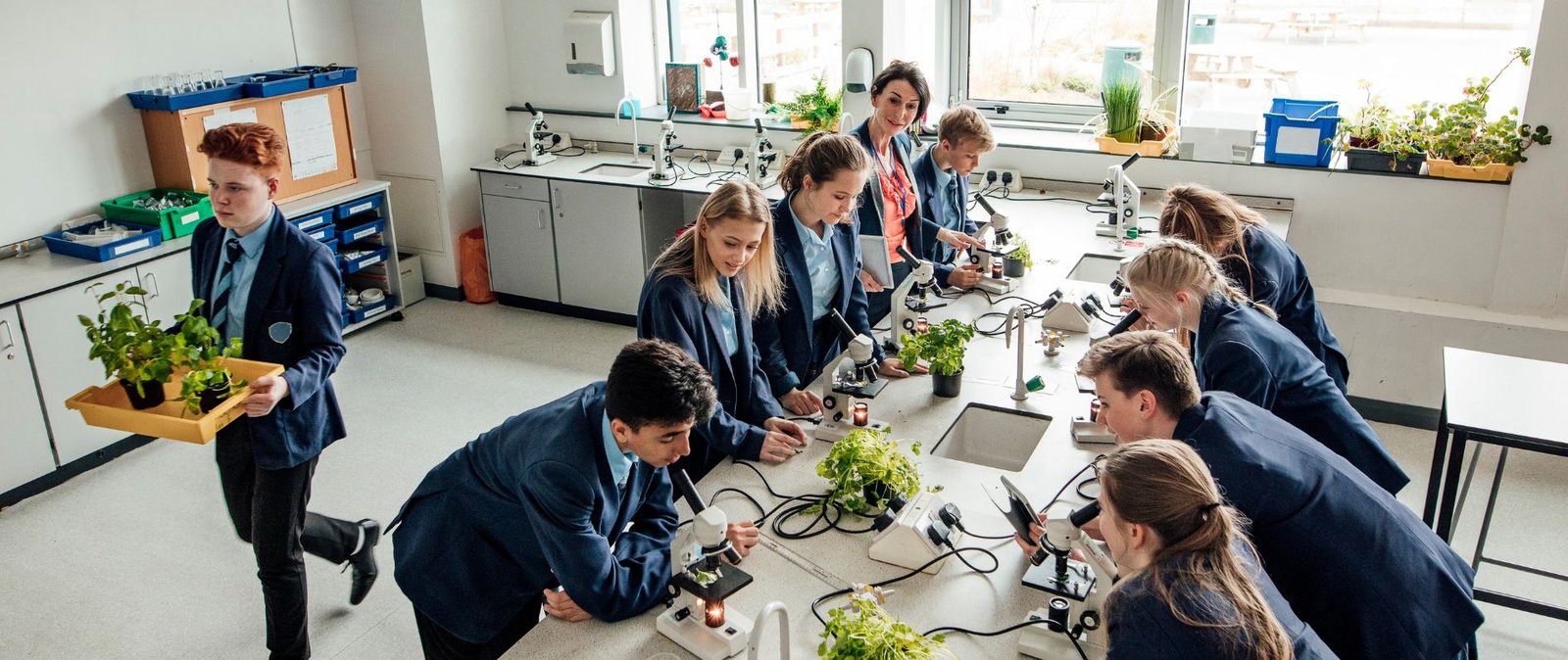 study in uk schools
