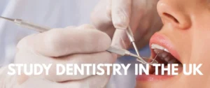 study dentisty