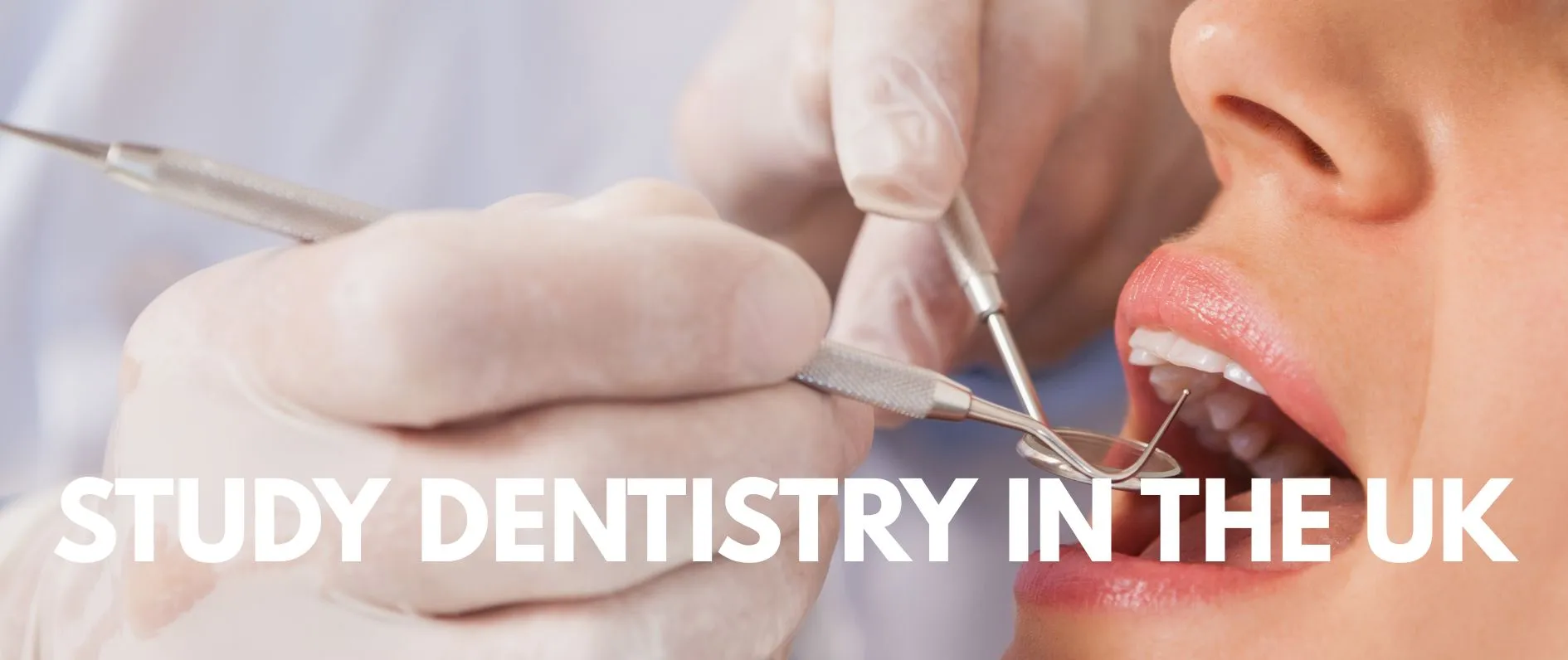 study dentisty